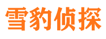 大安区私家侦探公司